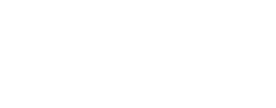logo petitbus